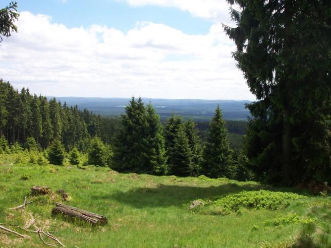 Villa Heidi Braunlage Exteriér fotografie